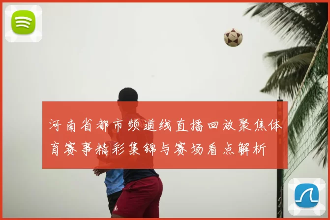 河南省都市频道线直播回放聚焦体育赛事精彩集锦与赛场看点解析