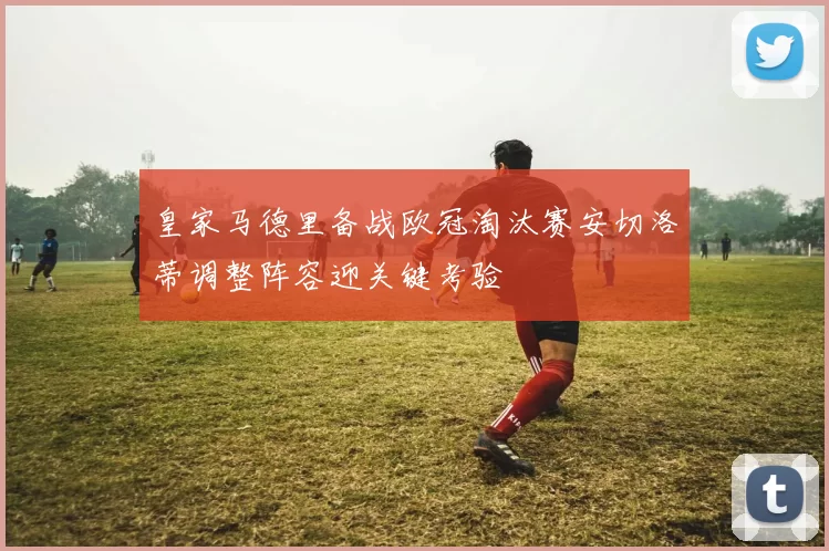 皇家马德里备战欧冠淘汰赛安切洛蒂调整阵容迎关键考验