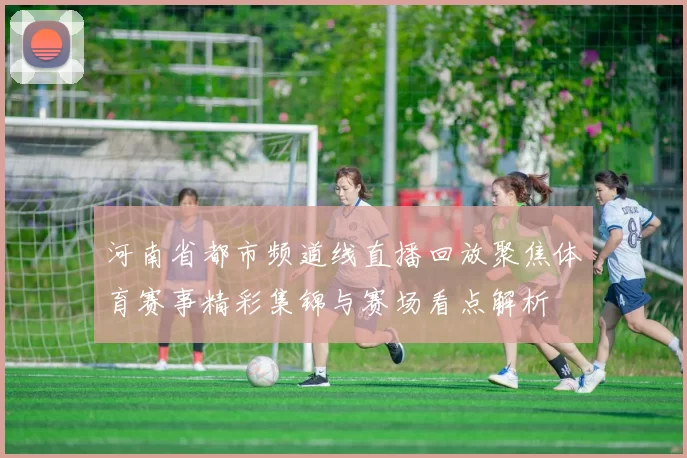 河南省都市频道线直播回放聚焦体育赛事精彩集锦与赛场看点解析